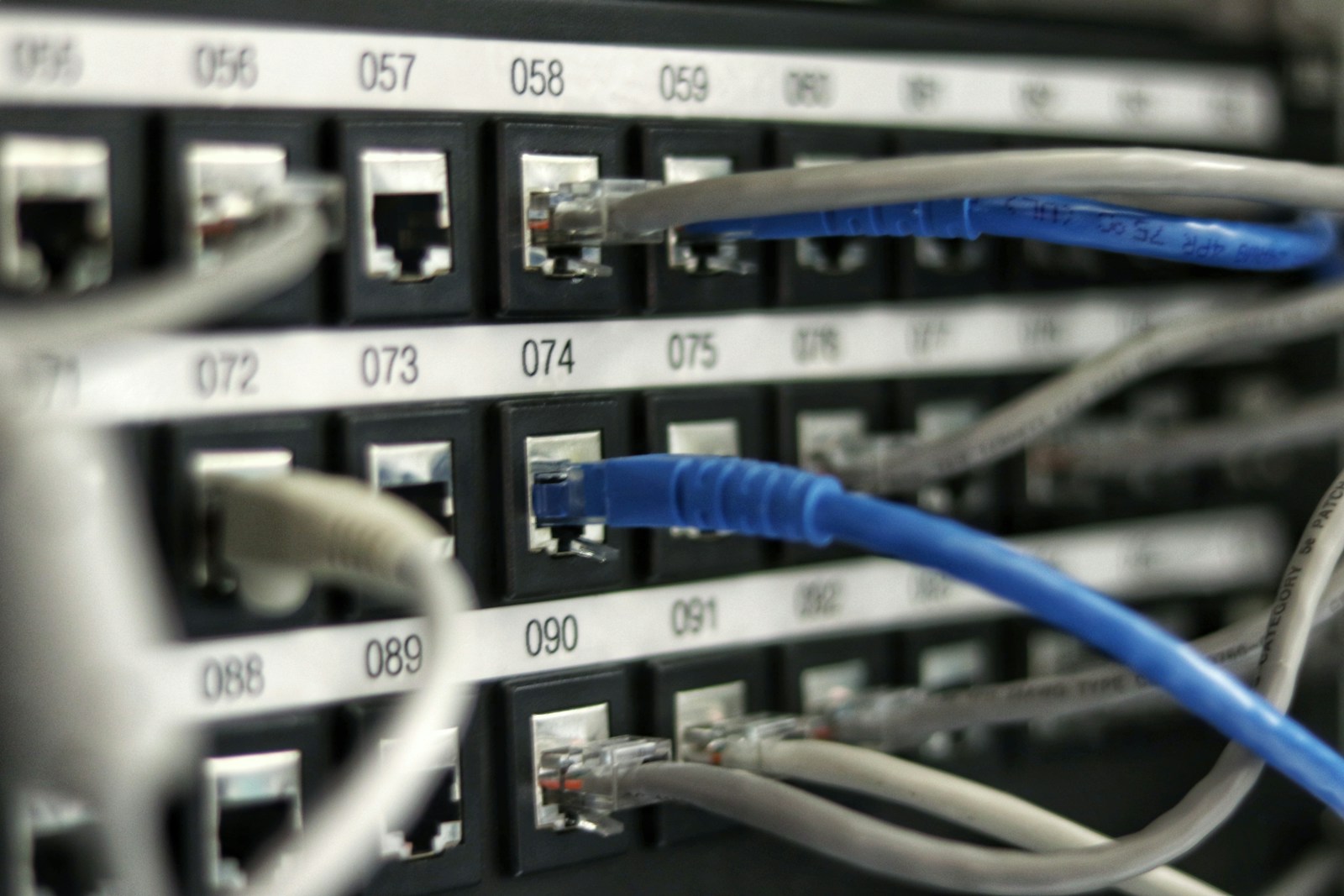 Cable de red UTP azul macro detalle