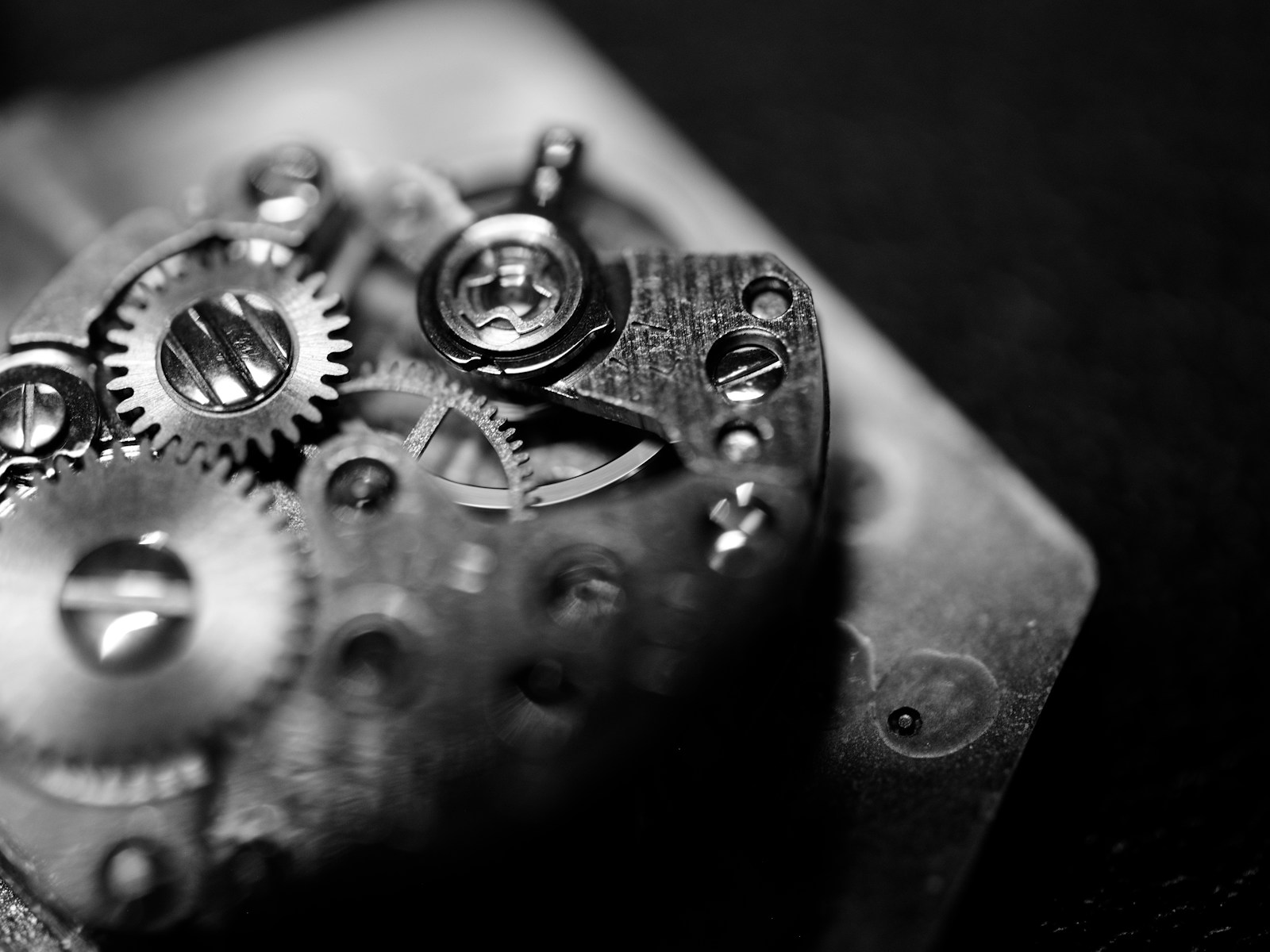 Mecanismo de reloj con engranajes en blanco y negro